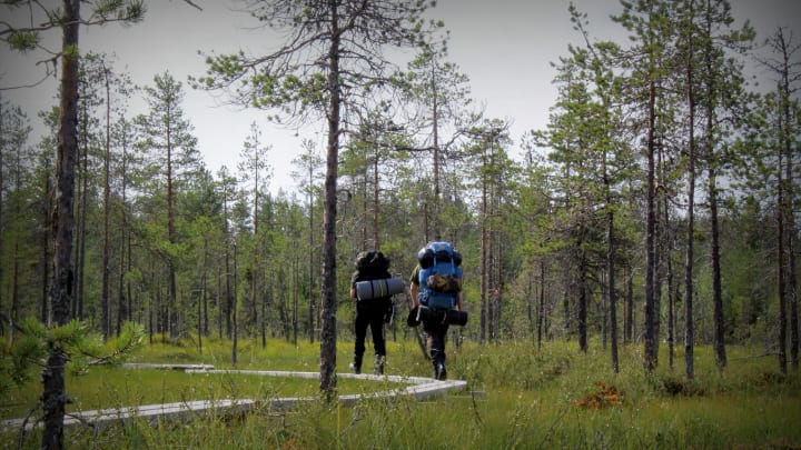 Hikers on a trail