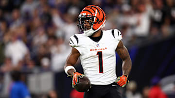 Cincinnati Bengals v Baltimore Ravens