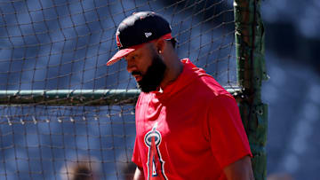Tampa Bay Rays v Los Angeles Angels