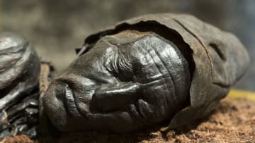 Tollund Man on display at the Silkeborg Museum, Denmark.