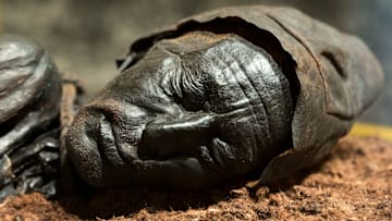 Tollund Man—a bog body at the Silkeborg Museum in Denmark