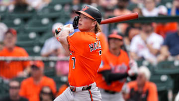 Baltimore Orioles v Minnesota Twins