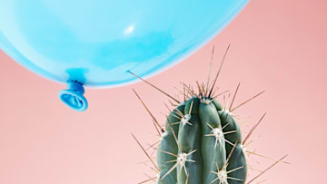 Cacti are not welcome in one German town.
