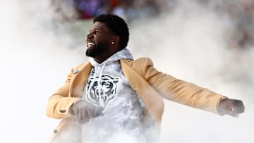 Chicago Bears, Devin Hester