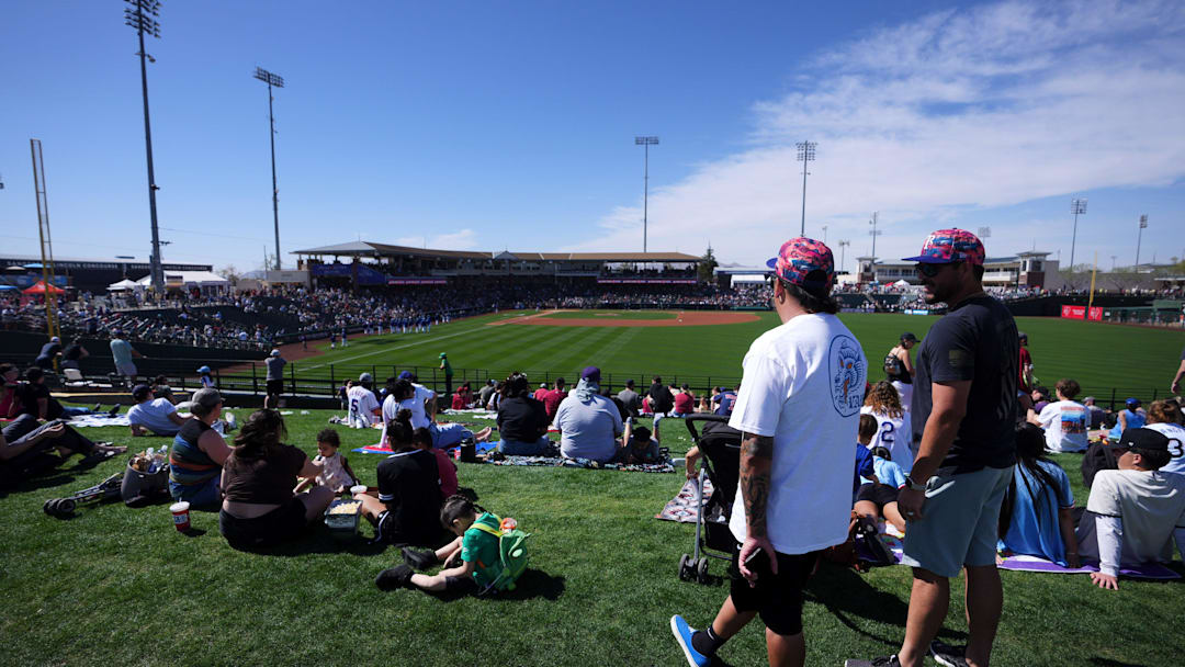People watch from the lawn seats as the Arizona Diamondbacks play against the Texas Rangers at Surprise Stadium on Sunday, March 2, 2025.