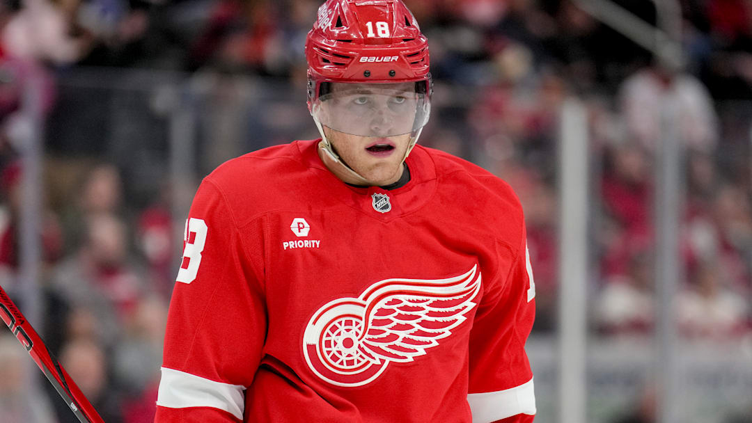 Tampa Bay Lightning v Detroit Red Wings