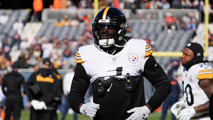 Pittsburgh Steelers wide receiver DK Metcalf was seen in a heated altercation with a Lions fan.