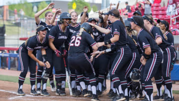 South Carolina Gamecocks softball