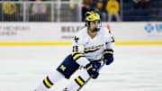 Mar 7, 2025; Ann Arbor, MI, USA;  Michigan Wolverines forward Michael Hage (19) skates against Penn State  during a Big Ten Tournament quarter final game at Yost Arena. Mandatory Credit: Rick Osentoski-Imagn Images