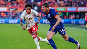 With Friday's squad announcement deadline passed, we now know for definite which Tottenham players will be off to represent their nations at this EURO.