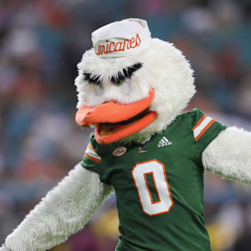 Sep 14, 2023; Miami Gardens, Florida, USA; Miami Hurricanes mascot Sebastian the Ibis reacts from the field prior to the start of the second quarter against the Bethune Cookman Wildcats at Hard Rock Stadium. Mandatory Credit: Sam Navarro-Imagn Images