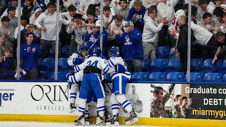Novi Detroit Catholic Central players celebrate a goal scored by Peter Sanin against Howell during the second period of MHSAA Division 1 hockey finals at USA Hockey Arena in Plymouth on Saturday, March 8, 2025. Novi Detroit Catholic Central players celebrate a goal scored by Peter Sanin against Howell during the second period of MHSAA Division 1 hockey finals at USA Hockey Arena in Plymouth on Saturday, March 8, 2025.