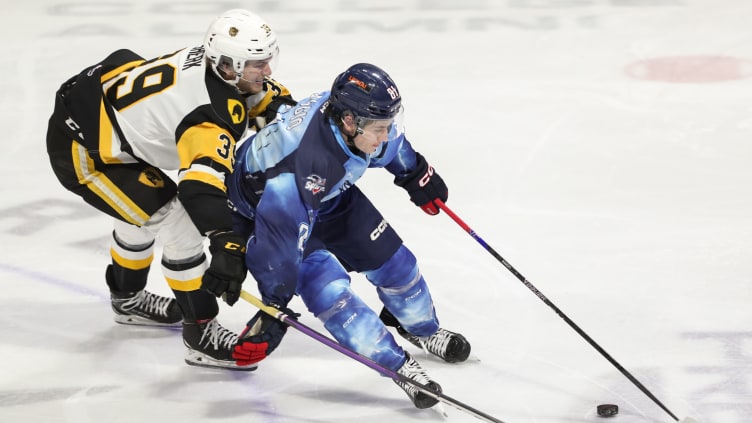 Hamilton Bulldogs v Windsor Spitfires