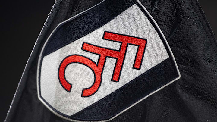 Fulham v Newcastle United - Emirates FA Cup Fourth Round