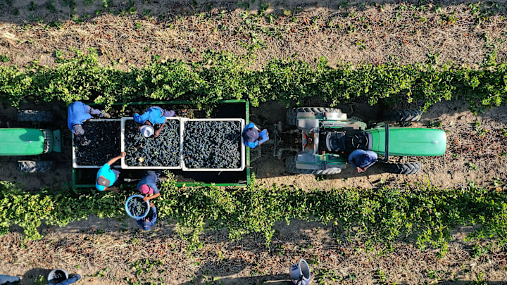 Aerial Views Of Western Cape Winelands Aerial Views Of Western Cape Winelands
