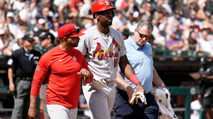 St. Louis Cardinals v Chicago White Sox