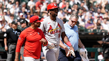 St. Louis Cardinals v Chicago White Sox