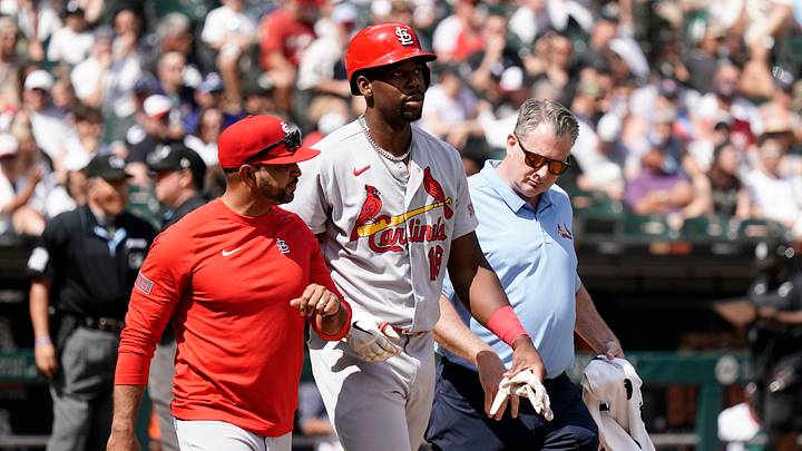 St. Louis Cardinals v Chicago White Sox