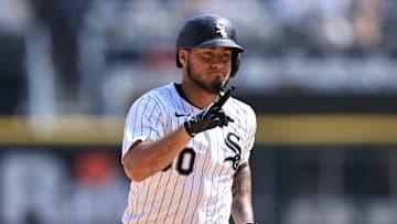 Lenyn Sosa - Arizona Diamondbacks v Chicago White Sox