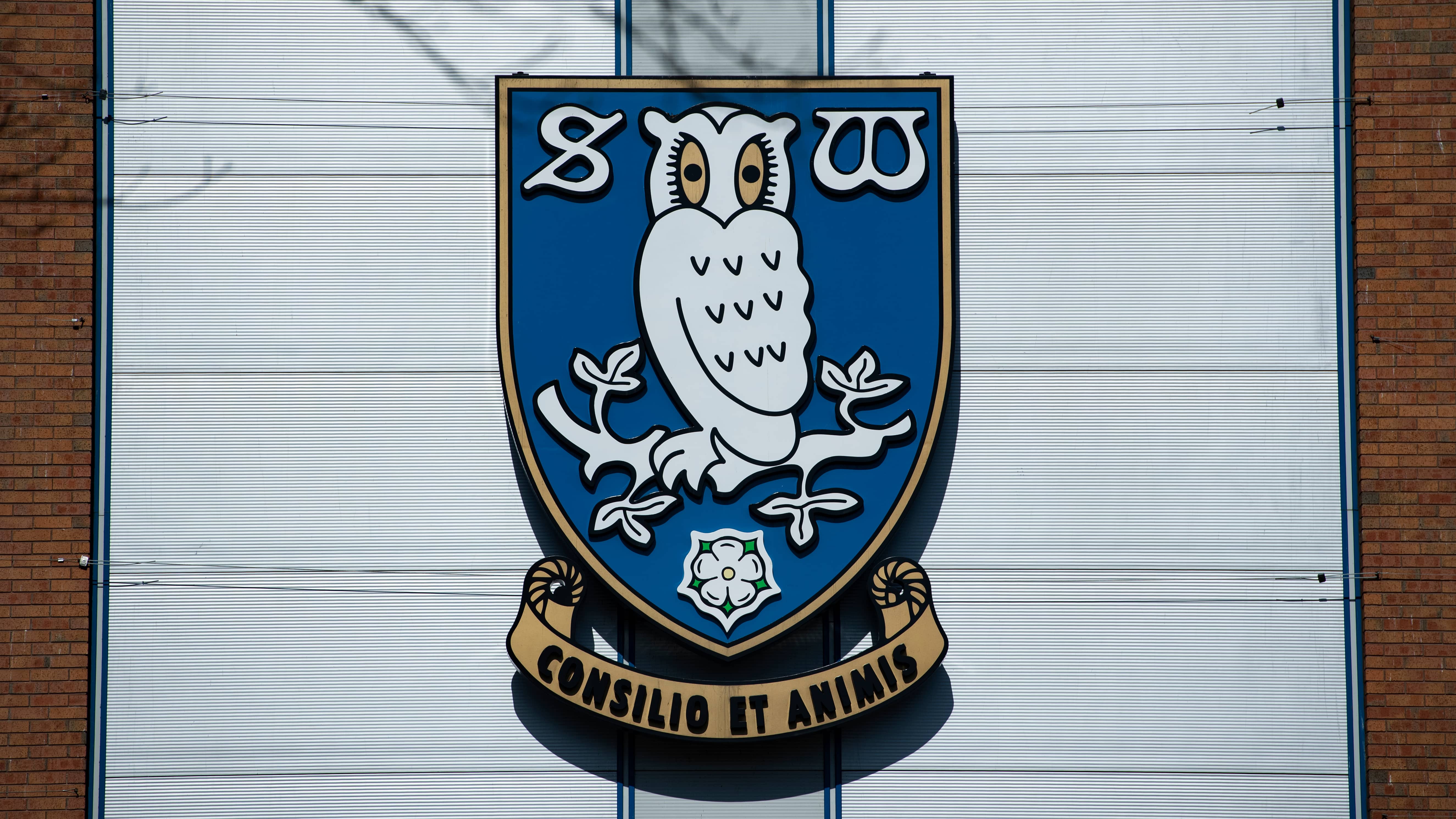 Sheffield Wednesday lining Southampton target to replace
