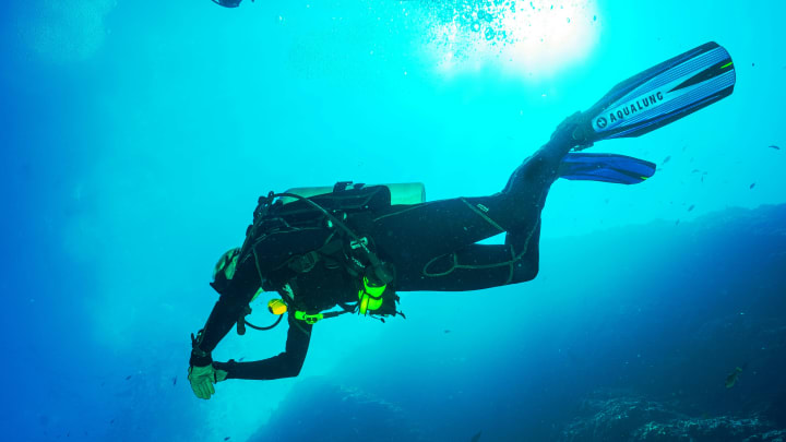 Scuba Diver in the Water