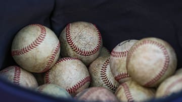 USF baseball is off to a good start under new head coach Mitch Hannahs