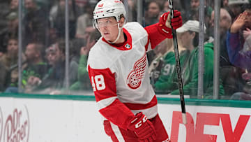 Detroit Red Wings v Dallas Stars