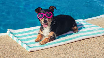 Don’t let heatstroke ruin their fun in the sun.