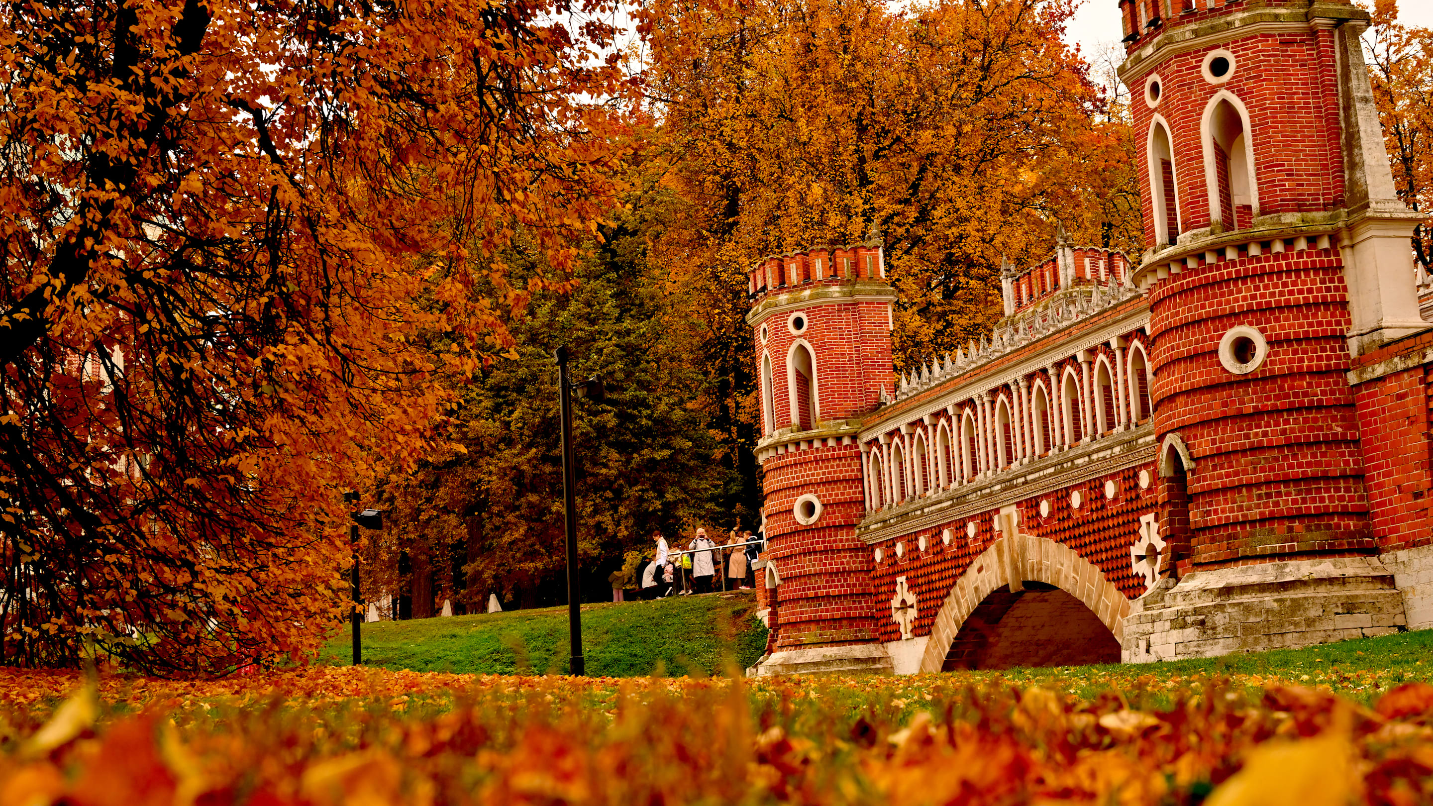 Only 21% of People Can Complete This Fall Puzzle in Under 10 Seconds