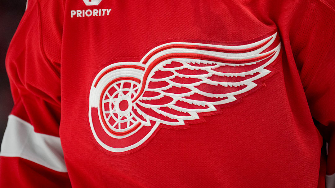 Boston Bruins v Detroit Red Wings