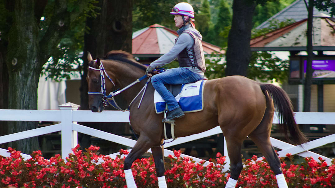 Thorpedo Anna paddock schooling in Saratoga 2025