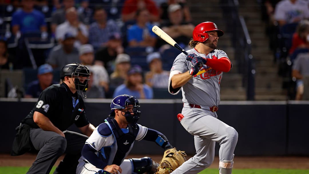 St. Louis Cardinals v Tampa Bay Rays