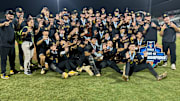 American Heritage Plantation celebrates after winning Class 4A state baseball title against Mulberry