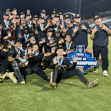 American Heritage Plantation celebrates after winning Class 4A state baseball title against Mulberry