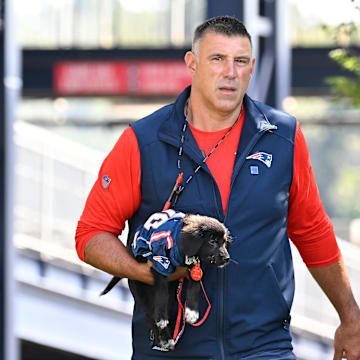 New England Patriots head coach Mike Vrabel is 7-7 in the preseason in his coaching career.