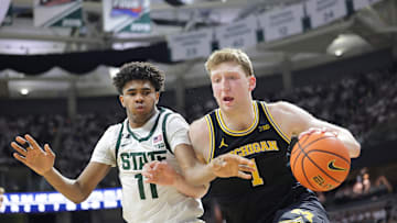 Michigan v Michigan State