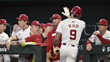 Feb 23, 2025; Arlington, TX, USA; The Michigan Wolverines play the Arkansas Razorbacks during the Amegy Bank College Baseball Series presented by Kubota Weekend 2 at Globe Life Field. Mandatory Credit: Jerome Miron-Imagn Images