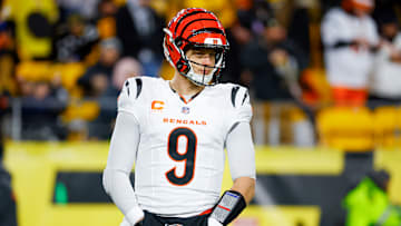 Cincinnati Bengals v Pittsburgh Steelers