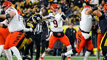 Cincinnati Bengals v Pittsburgh Steelers