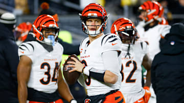 Cincinnati Bengals v Pittsburgh Steelers