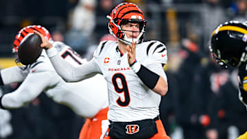 Cincinnati Bengals v Pittsburgh Steelers