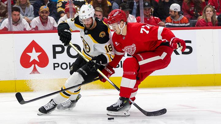 Boston Bruins v Detroit Red Wings
