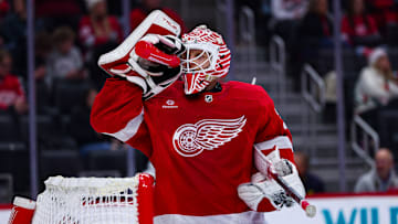 Colorado Avalanche v Detroit Red Wings