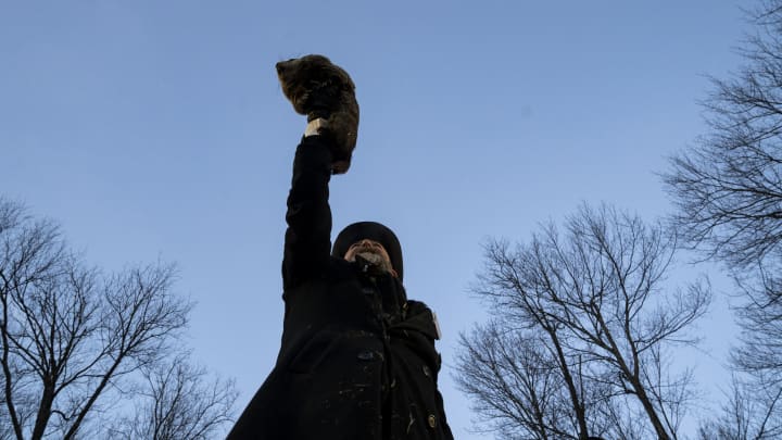 Punxsutawney Phil Looks For His Shadow In Annual Groundhog Day Tradition