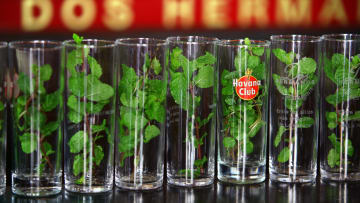 Glasses with mint for mojitos