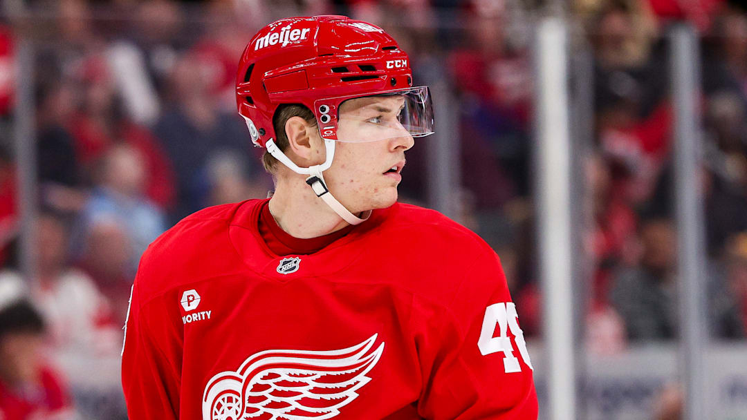Jonathan Berggren looks on as the Detroit Red Wings take on the New York Rangers.