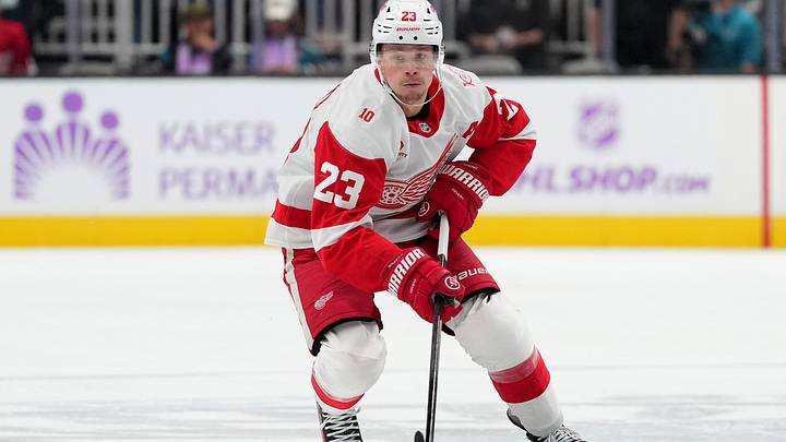 Detroit Red Wings forward Lucas Raymond was a one-man wrecking crew at Madison Square Garden on Sunday night.