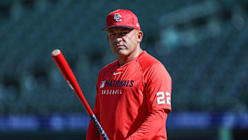 Miguel Cairo has been named the Washington Nationals' interim manager.