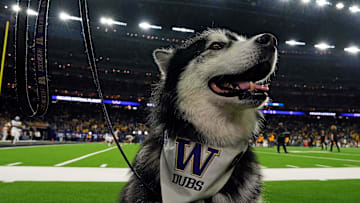 Jan 8, 2024; Houston, TX, USA; The Washington Huskies mascot Dubs is seen on the sidelines before the 2024 College Football Playoff national championship game between the Michigan Wolverines and the Washington Huskies at NRG Stadium. Mandatory Credit: Kirby Lee-Imagn Images