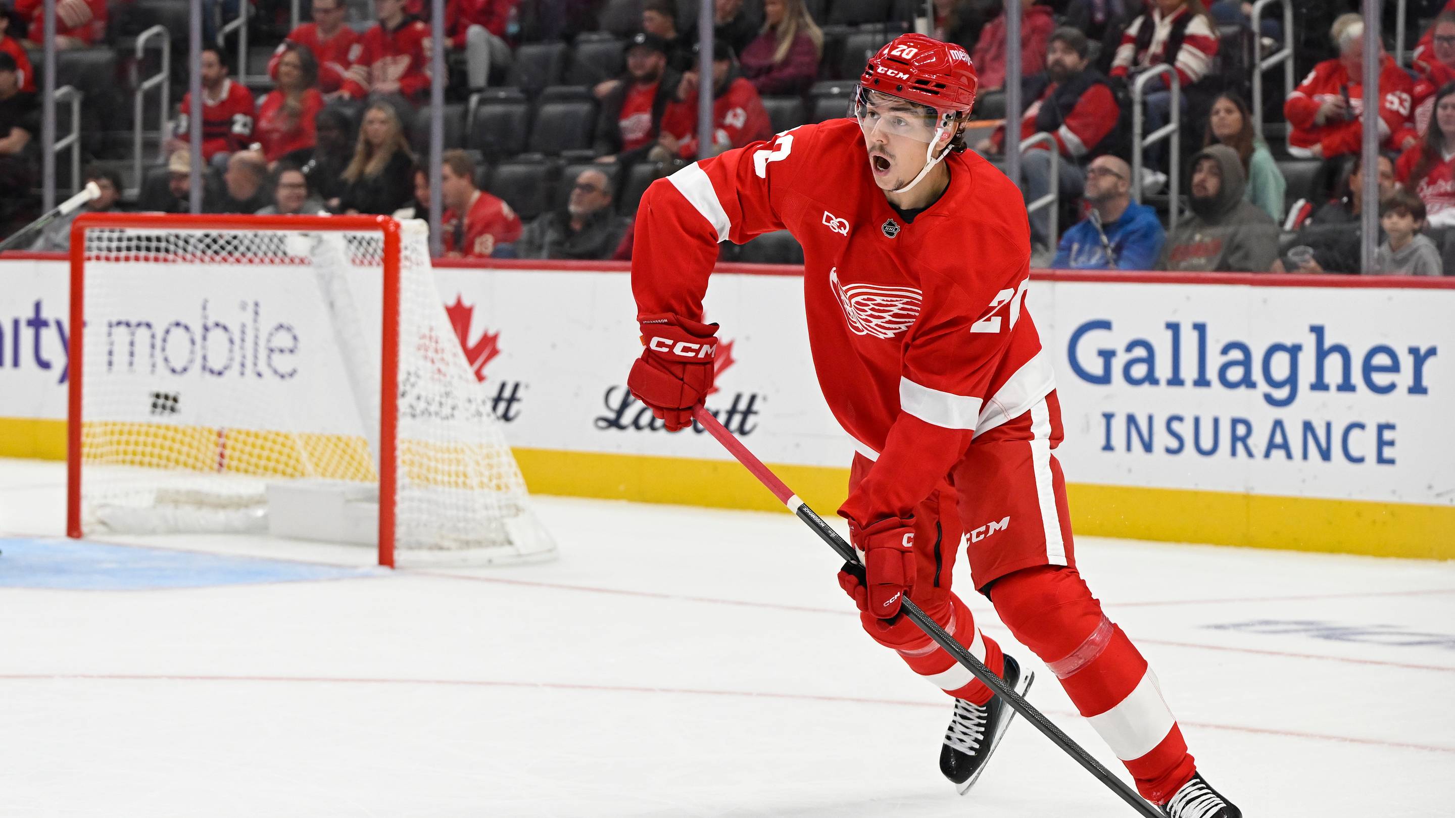 4 Red Wings at risk of waivers